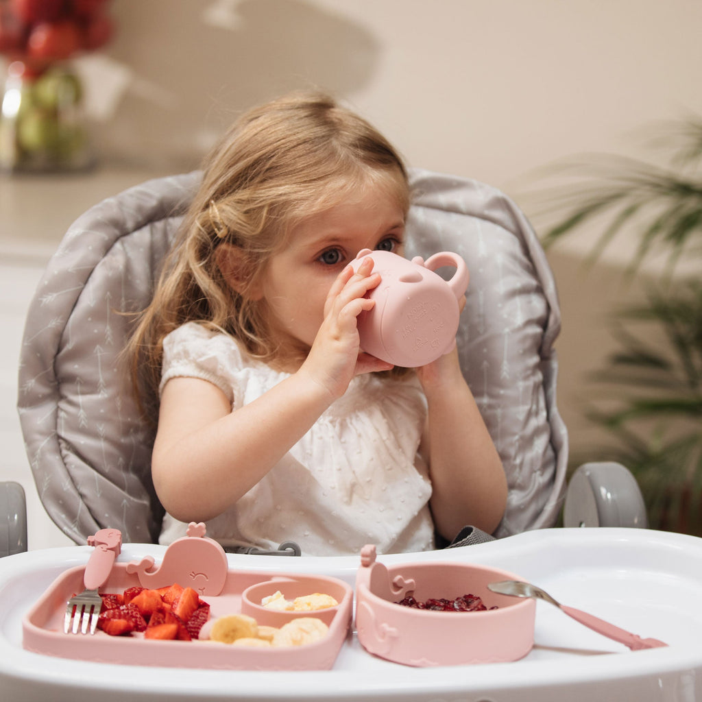 Animal Friends 6-Piece Dinnerware Set - Pink Whale